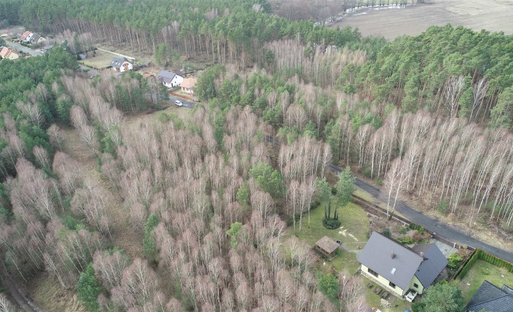 działka na sprzedaż - Krajenka (gw), Skórka